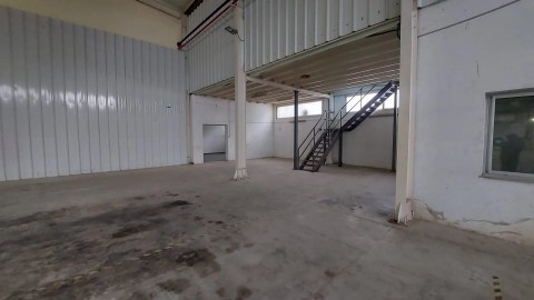 77.jpg