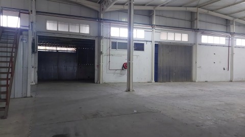 95.jpg