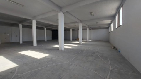 54.jpg