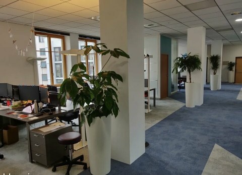 Vente Bureaux / Locaux professionnels, 60 m2 à Saint-Paul-lès-Dax (40990)