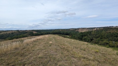 77.jpg