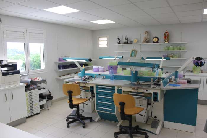 Vente Fabrication de prothèses dentaires dans une zone touristique proche du Diamant (97223)