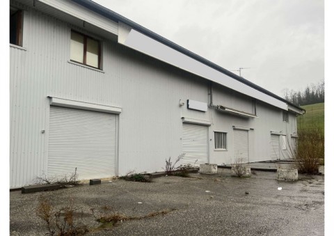 Vente Local commercial - entrepôt de 550 m2 dans une zone industrielle à Chambéry (73000)