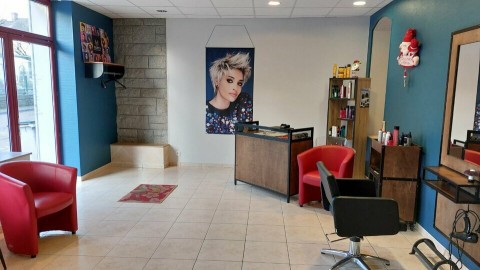 Vente Salon de coiffure, 50 m2 à Auvers-le-Hamon (72300)