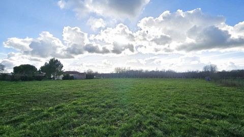 Vente Terrain, 2614 m2 à Châteauneuf-sur-Charente (16120)