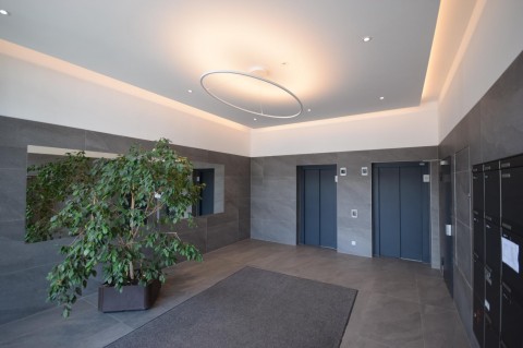 Vente Surface de bureaux de 320 m2 au centre de Carouge en Suisse