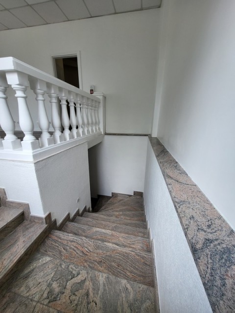 81.jpg