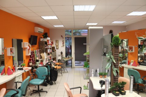 Vente Salon de coiffure, 730 pi2 à La Ville-aux-Clercs (41160) en France