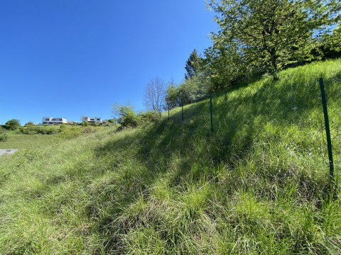 94.jpg