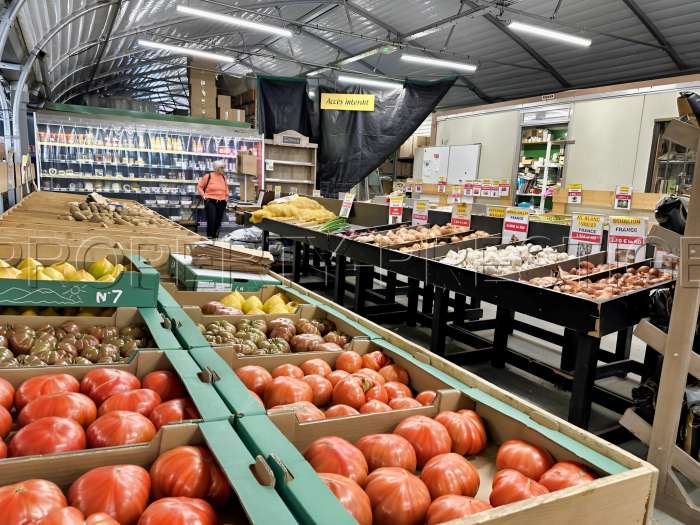 Vente Distribution de produits d'horticulture, pépinière et produits alimentaires frais locaux, à Bordeaux Sud (33000) en France