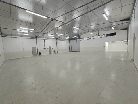 Vente Local d'activité de 609 m2, à Lons (64140)