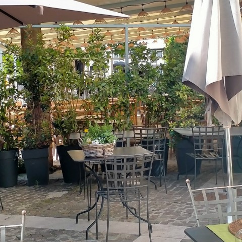 Vente Restaurant avec terrasse en emplacement N°1, à Flayosc (83780) en France