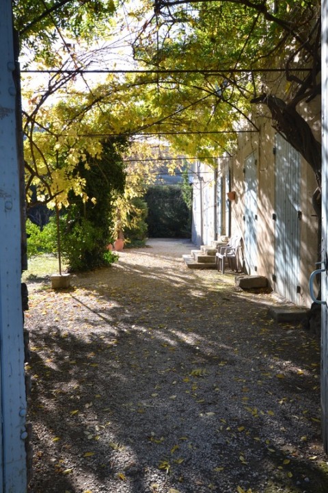 87.jpg