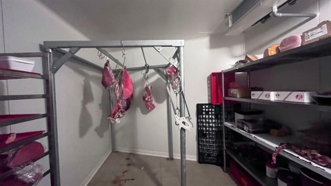 Vente Boucherie, 71 m2 à Paris 20ème (75020)