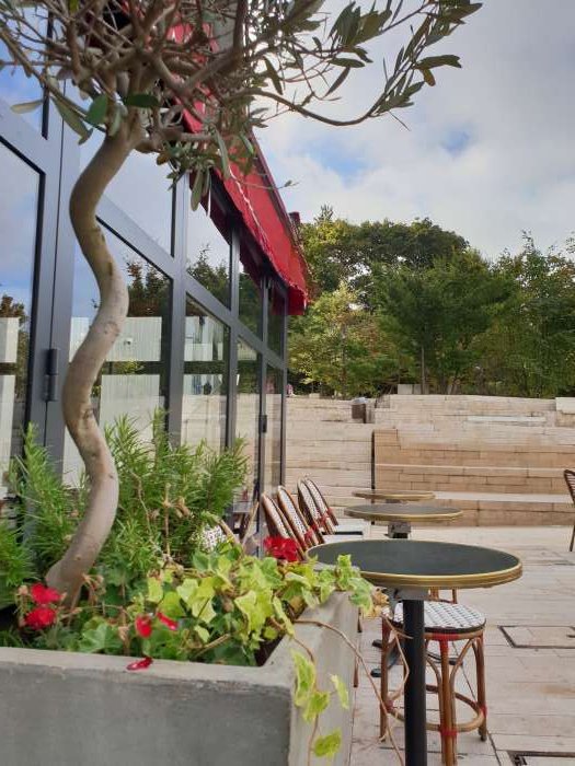 Vente Bar - brasserie dans une zone touristique, à Châtenay-Malabry (92290) en France