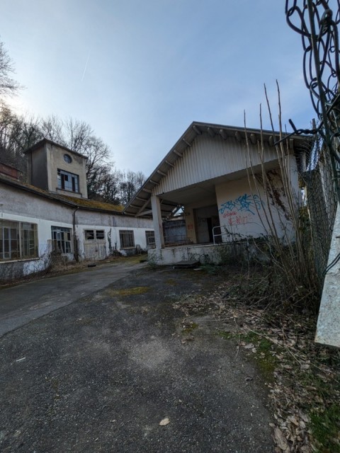 83.jpg