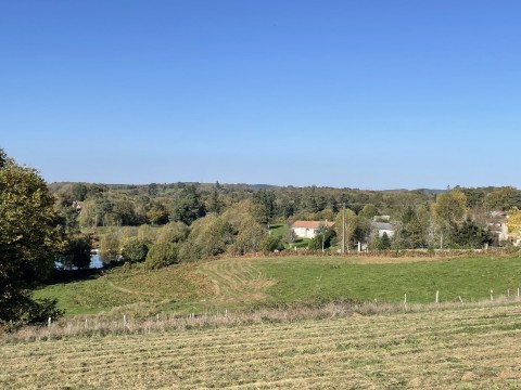 61.jpg