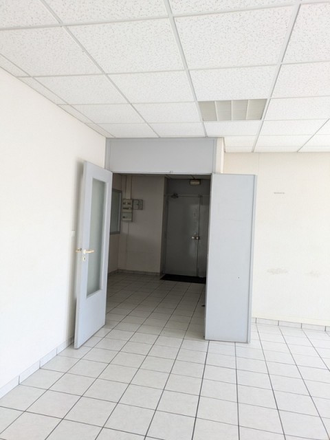 102.jpg