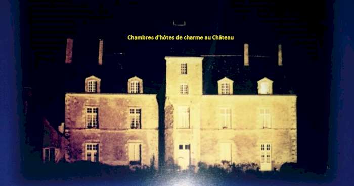 Vente Château historique avec 5 chambres d'hôtes de charme à Bouaye dans une zone touristique (44830)