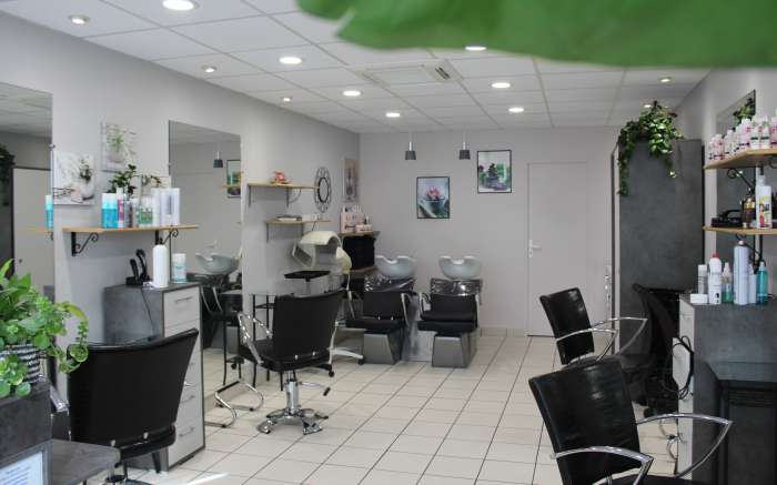 Vente Salon de coiffure mixte à Poitiers (86000)