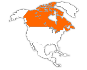  Côte acadienne Nouveau-Brunswick