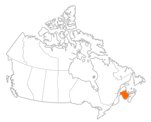 Côte acadienne  -  Nouveau-Brunswick